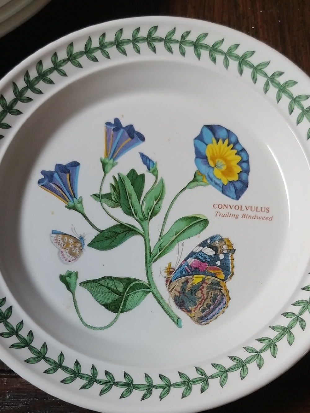 Port Meirion Botanical Convolvulus Floral Small Plate,7 Inch